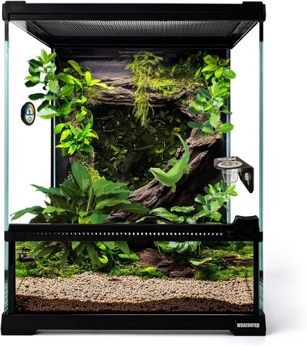Mini reptile glass - reptile, terrarium